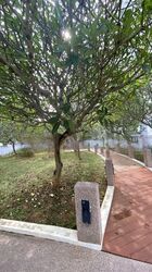 Blk 270B Punggol Sapphire (Punggol), HDB 4 Rooms #475213811